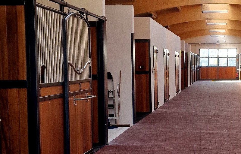 Box chevaux Haras d’Everdeen Curtafond écuries modernes confort bien-être installations équestres